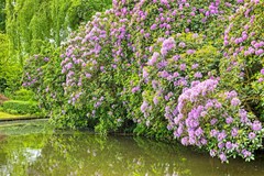 Achttienhontpad42361mgWarmondNL-110.jpg