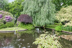 Achttienhontpad42361mgWarmondNL-79.jpg