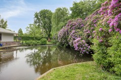 Achttienhontpad42361mgWarmondNL-81.jpg