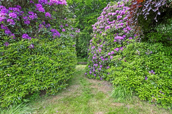 Medium property photo - Achttienhontpad 4, 2361 MG Warmond