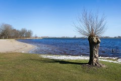 herenweg_73_warmond_03.jpg