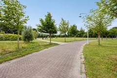 Sterreschans1122342bnOegstgeest-66.jpg
