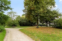 plantsoen41leiden-23.jpg