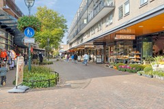 AertvanNeslaan2152341hkOegstgeest-27.jpg