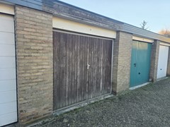 WhatsApp Image 2025-12-24 at 12.29.56.jpeg