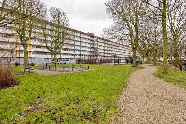 Medium property photo - Jacques Urlusplantsoen 308, 2324 LE Leiden