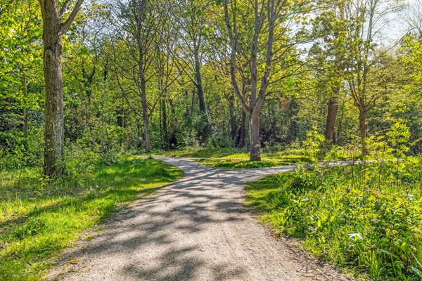 Medium property photo - Van Eijsingapark 5, 2333 VJ Leiden