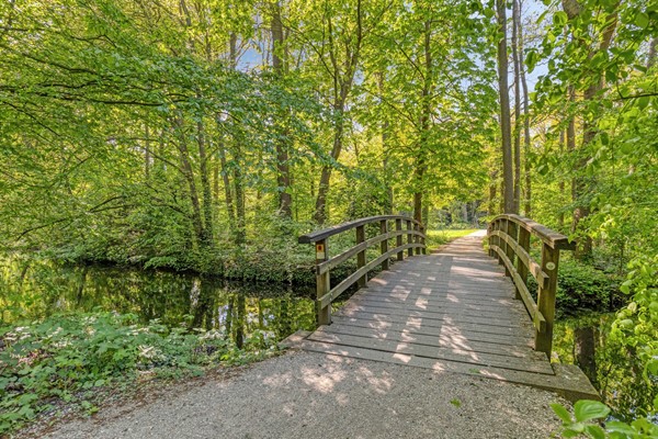 Medium property photo - Van Eijsingapark 5, 2333 VJ Leiden