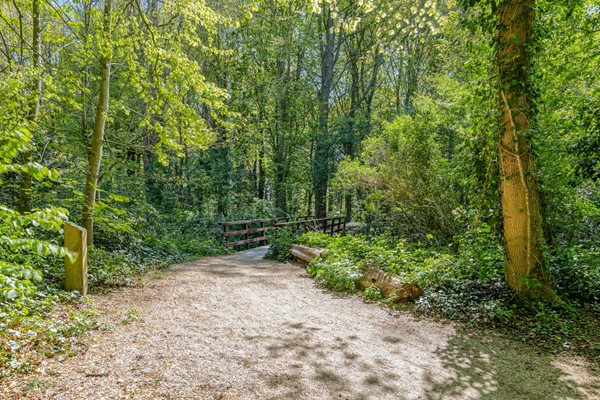 Medium property photo - Terweeweg 61, 2341 CN Oegstgeest