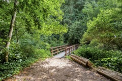 Mauritslaan72341elOegstgeest-68.jpg
