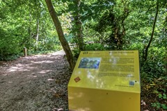 mauritslaan72341eloegstgeest-69.jpg
