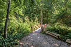 Duinzichtstraat242341bxOegstgeest-44.jpg