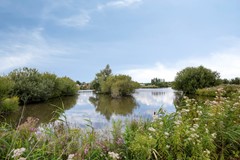 BertGarthoffpad52341hzOegstgeest-63.jpg