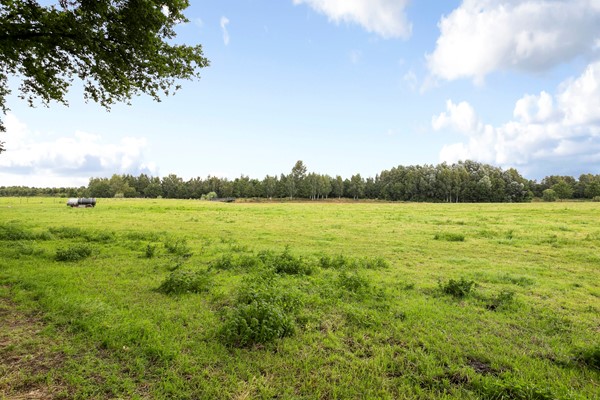 Medium property photo - Bosweg 67, 6163 AM Geleen