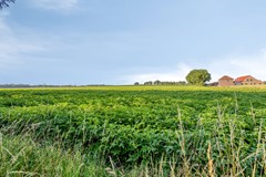 Veersestraat16a6143ANGuttecovenNL-42.jpg