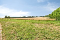 OptVeldje46176BKSpaubeek-67.jpg