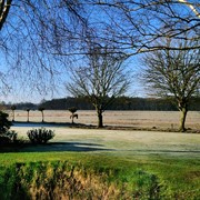 IMG_1826.JPG