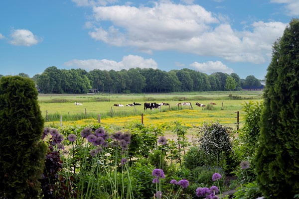 Medium property photo - Spoorbaan 1, 7844 NG Veenoord
