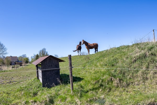 Medium property photo - Skanserwei 22, 9133 DV Eanjum