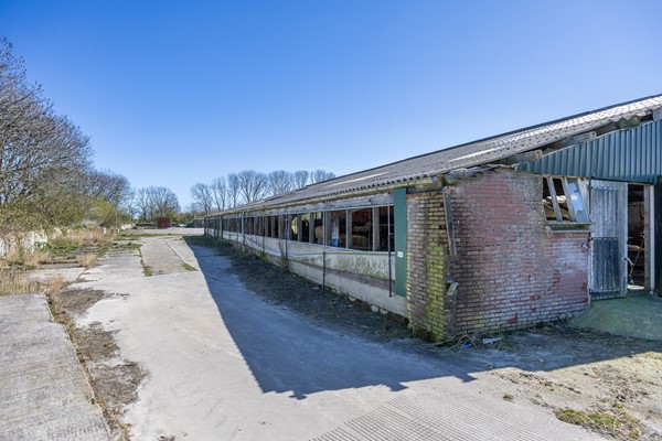 Medium property photo - Skanserwei 22, 9133 DV Eanjum