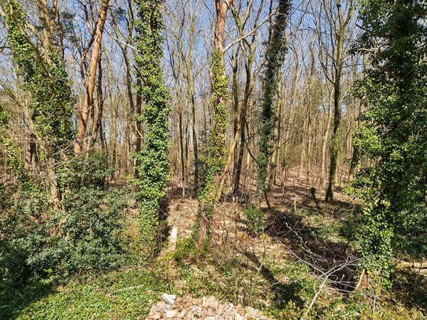 Medium property photo - Ermerzand 172, 7843 PS Erm