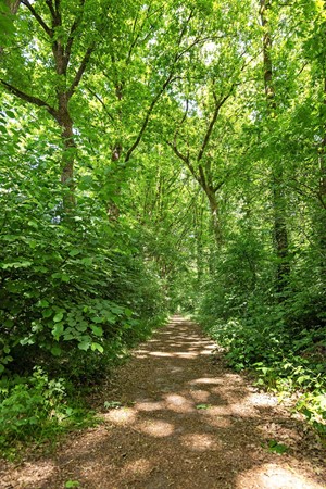 Medium property photo - Slenerweg 83-10, 7848 AG Schoonoord