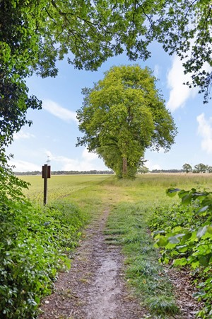 Medium property photo - Slenerweg 83-10, 7848 AG Schoonoord