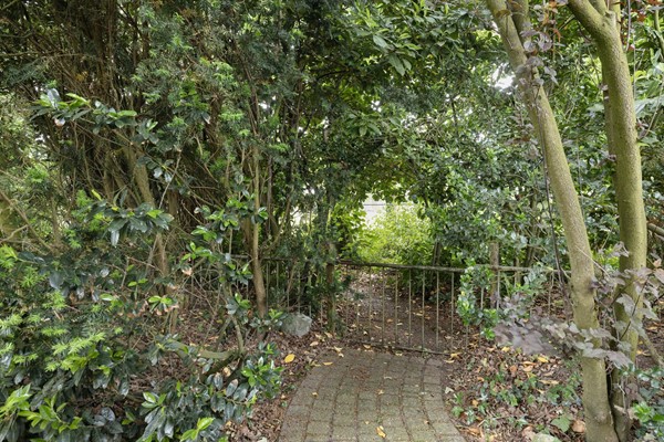 Medium property photo - Ter Borghstraat 28, 7841 AM Sleen