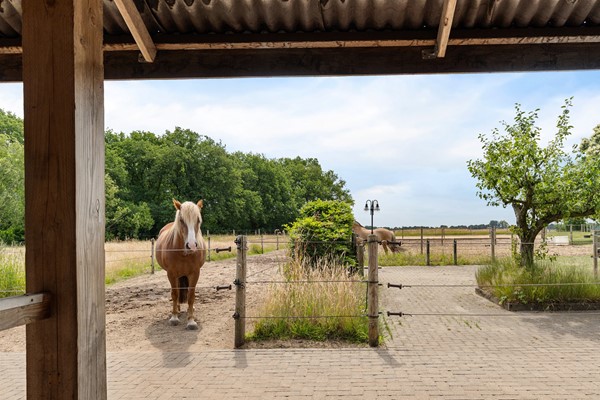 Medium property photo - Hegenzand 13, 7846 TJ Noord-Sleen