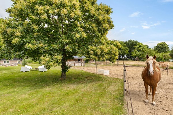 Medium property photo - Hegenzand 13, 7846 TJ Noord-Sleen