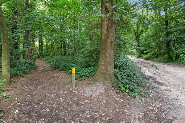 Medium property photo - Steenbakkersweg 7-310, 7843 RM Erm