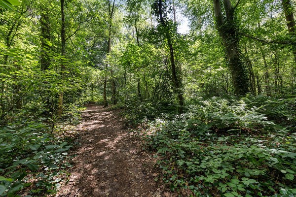 Medium property photo - Steenbakkersweg 7-362, 7843 RM Erm