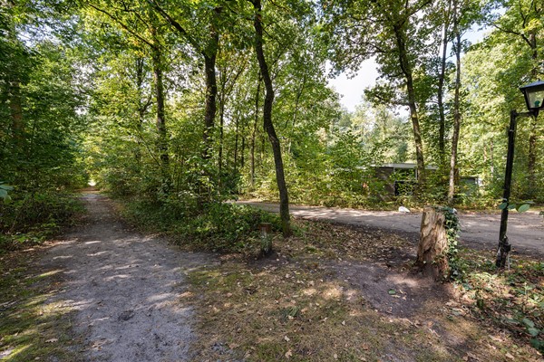 Medium property photo - Slenerweg 83-22, 7848 AG Schoonoord