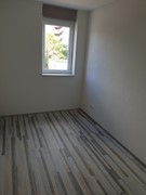 20190930_152454.jpg