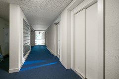 Willem Baerdesenstraat 22 Amsterdam Ray 4.jpeg