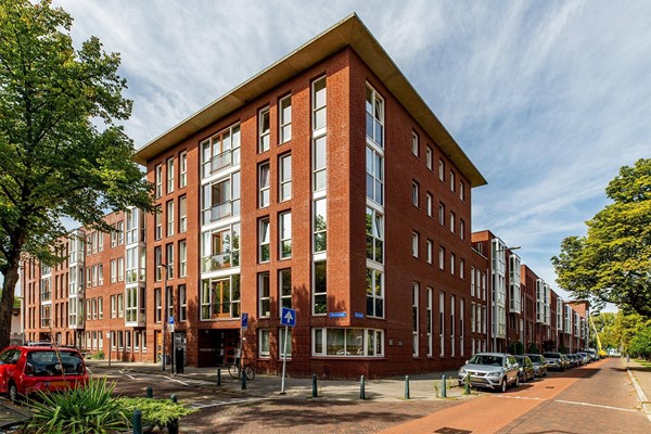For rent: Berkelselaan 111, 3037PD Rotterdam