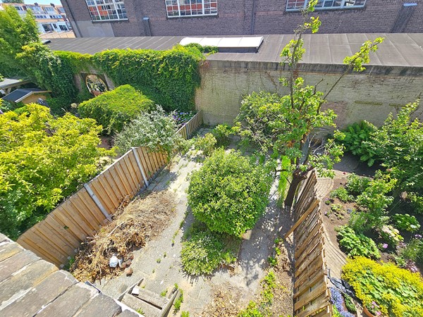 Medium property photo - Azaleastraat 50A, 3051 TH Rotterdam
