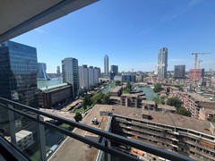 IMG_2739.jpeg
