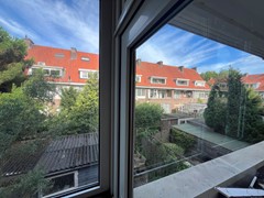 IMG_3446.jpeg