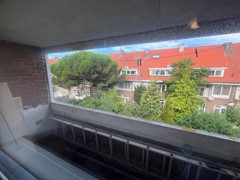 IMG_3434.jpeg