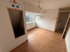 IMG_3431.jpeg