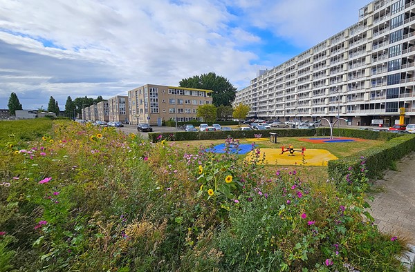 Medium property photo - Sint-Janshaven 589, 3087 ED Rotterdam