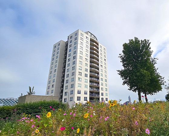 For sale: Sint-Janshaven 589, 3087ED Rotterdam