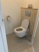 IMG_5325.jpeg