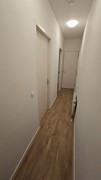 1000164787.jpg