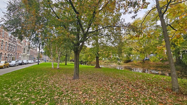 Medium property photo - Provenierssingel 38A02, 3033 EM Rotterdam