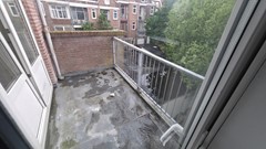 54448.jpg