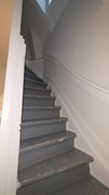 54436.jpg