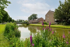 appartementen te huur op Wiardapad 47