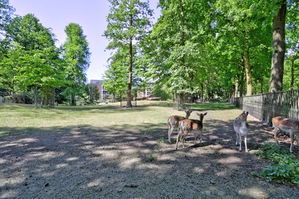 Medium property photo - Oude Provincialeweg 20, 5527 BP Hapert
